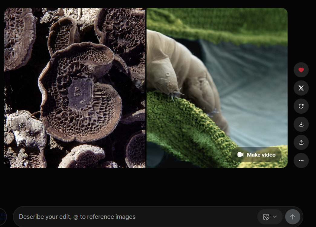 Grok Imagine wrong result: prompt said replace left side but the model changed the right side instead